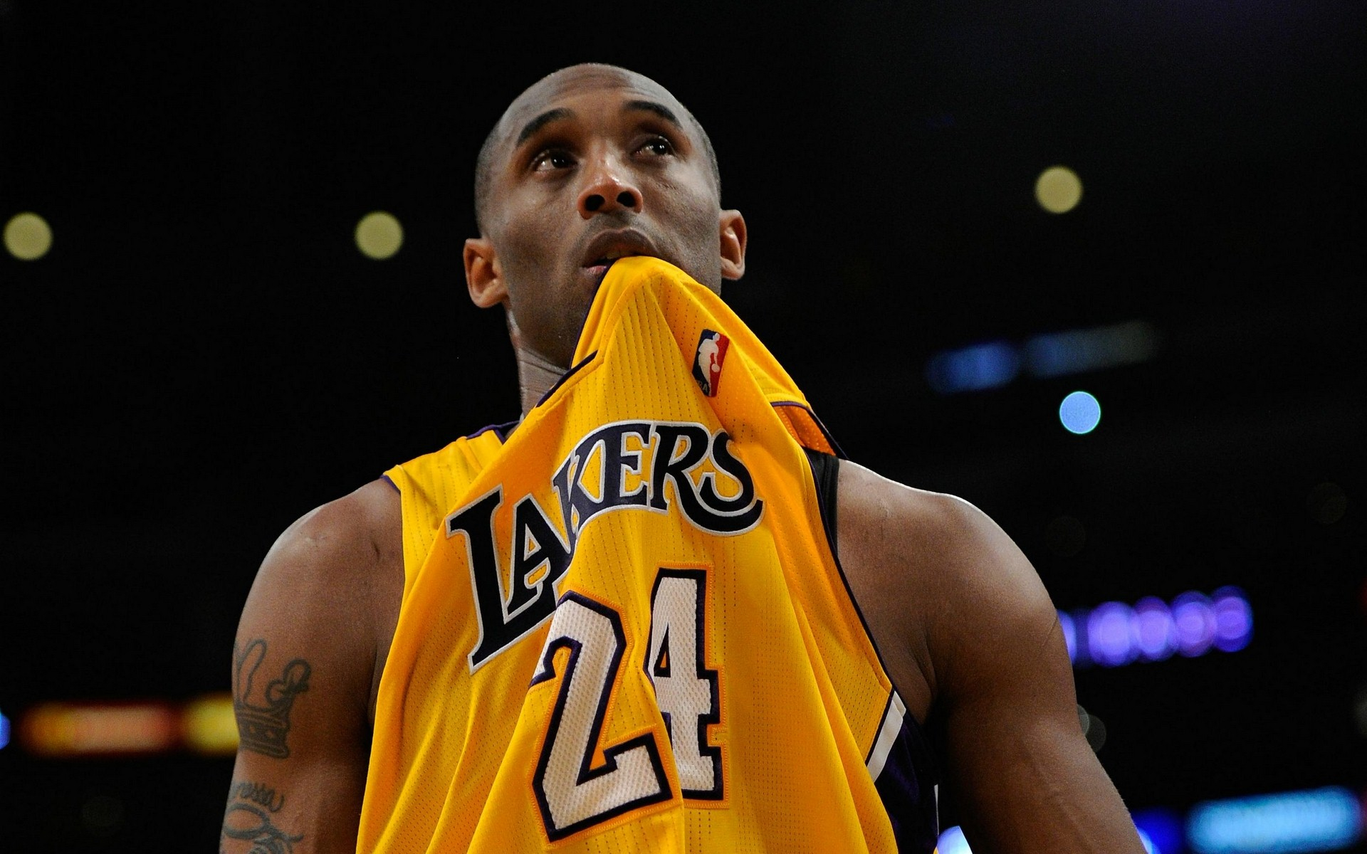 更依赖于他 更依赖于他