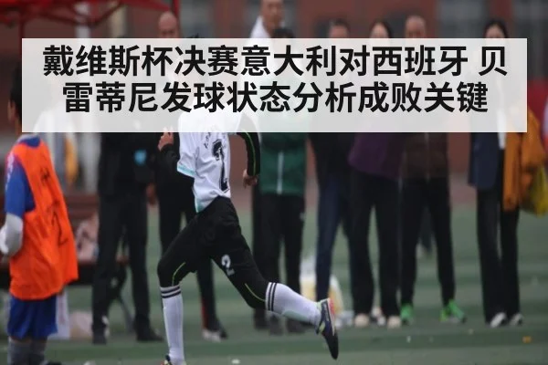 戴维斯杯决赛意大利对西班牙 贝雷蒂尼发球状态分析成败关键